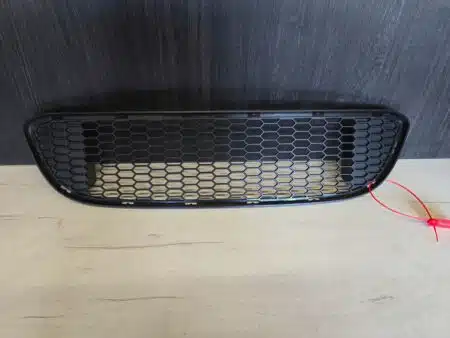 Griglia centrale del paraurti BMW 1 E82 E88 Pacchetto M 8045432