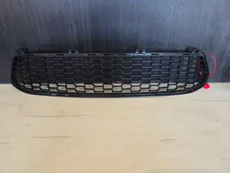 GRIGLIA CENTRALE PARAURTI BMW M2 F87